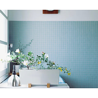 ロータスクレティクスのインテリア実例 Roomclip ルームクリップ