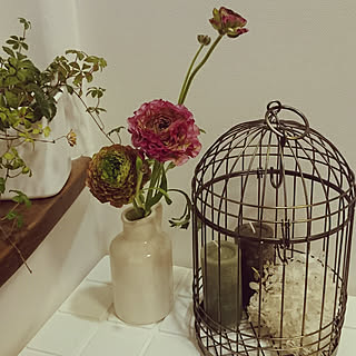 玄関/入り口/観葉植物/ラナンキュラス/防災グッズ置き場/とりかご...などのインテリア実例 - 2018-03-14 19:45:25