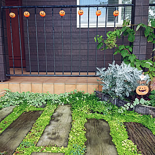 花壇 セダムのインテリア実例 Roomclip ルームクリップ