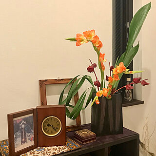 葉蘭のインテリア実例 Roomclip ルームクリップ