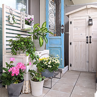 虫こないもんのインテリア実例 Roomclip ルームクリップ 虫こないもんのインテリア実例 Roomclip ルームクリップ