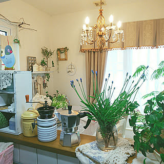 ラベンダー 虫対策のインテリア実例 Roomclip ルームクリップ