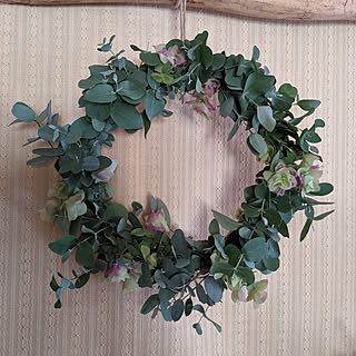 ユーカリグニー 剪定しましたのインテリア実例 Roomclip ルームクリップ