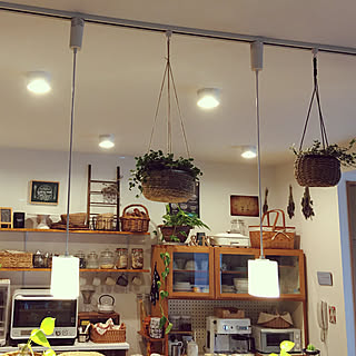 #ライト/#ライト#照明#ランプシェード/#観葉植物のある部屋/#観葉植物 #リビング #緑のある暮らし/#観葉植物#グリーンいっぱいの暮らし...などのインテリア実例 - 2020-06-13 19:02:55