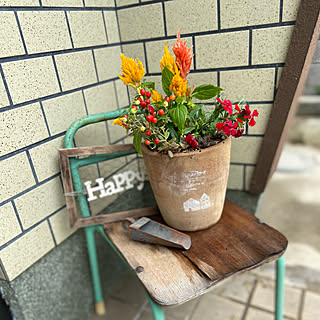 ロータスコットンキャンディのインテリア実例 Roomclip ルームクリップ