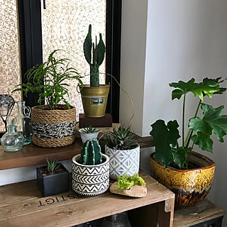 植木鉢 ガラス瓶のインテリア実例 Roomclip ルームクリップ 植木鉢 ガラス瓶のインテリア実例 Roomclip ルームクリップ
