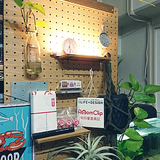 棚/10分でできる/団地/築30年団地/団地住まい...などのインテリア実例 - 2019-02-13 00:05:42