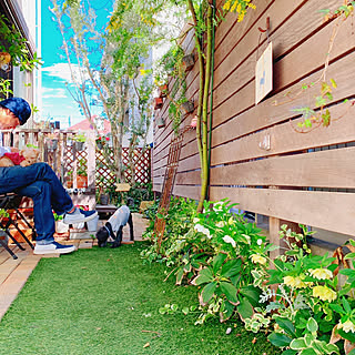 庭 犬と暮らすのインテリア実例 Roomclip ルームクリップ 庭 犬と暮らすのインテリア実例 Roomclip ルームクリップ