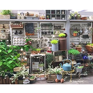 バス/トイレ/ほっこり*/カフェ時間*/多肉植物/多肉植物寄せ植え...などのインテリア実例 - 2017-05-31 08:17:35
