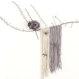 壁/天井/ホワイトソルトブッシュの枝/あじさいドライフラワー/NO GREEN NO LIFE/ダイソーエアプランツ...などのインテリア実例 - 2016-07-22 16:08:01