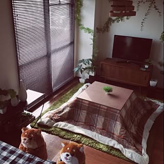 忠犬もちしばのインテリア実例 Roomclip ルームクリップ