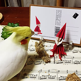 キッチン/RCの出会いに感謝♡/置くだけでちいさな幸せ/ナチュラル/小鳥さん...などのインテリア実例 - 2017-12-25 20:42:46