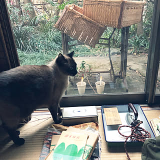ベッド周り/築60年の鉄筋長屋/築60年の6畳の木造平屋の家/マメヲ/竹カーテン...などのインテリア実例 - 2019-02-03 07:27:18