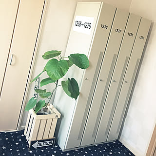 強行突破/我慢できませんでした/スッキリした~/子供4人/数字...などのインテリア実例 - 2017-09-25 15:52:23