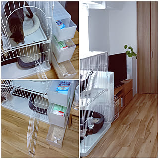 猫砂収納のインテリア実例 Roomclip ルームクリップ