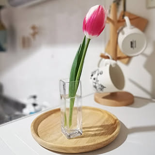 キッチン/一人暮らし/1K/花のある暮らしのインテリア実例 - 2020-01-23 14:28:20