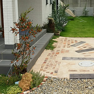 庭 ドドナエアのインテリア実例 Roomclip ルームクリップ