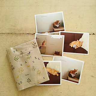 ダイソーのフォトアルバムのインテリア実例 Roomclip ルームクリップ