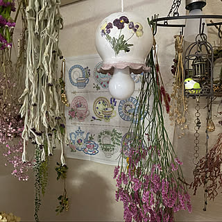 ダイソー 金魚鉢のまとめページ Roomclip ルームクリップ