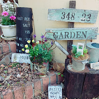 鉢植え 花壇の花のインテリア実例 Roomclip ルームクリップ