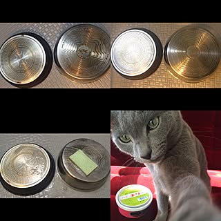 キッチン/鍋の焦げ/大掃除/ねこ大好きです/ねこバカ部...などのインテリア実例 - 2015-12-27 18:30:57