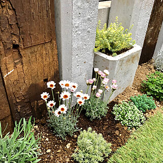花壇 コンクリートブロックのおしゃれなインテリアコーディネート レイアウトの実例 Roomclip ルームクリップ