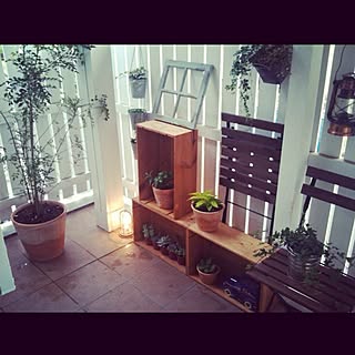 リビング/植物/照明/ガーデニングのインテリア実例 - 2012-05-24 18:00:37