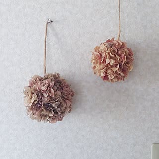 ローズヒップ染めのインテリア実例 Roomclip ルームクリップ