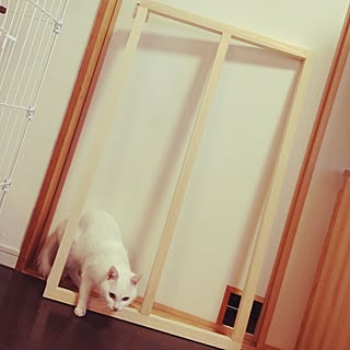 Diy 転落防止のインテリア 手作りの実例 Roomclip ルームクリップ