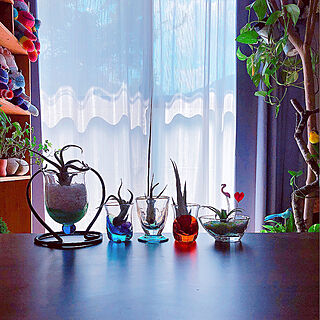 琉球ガラスの花器のインテリア実例 ｜ RoomClip（ルームクリップ）