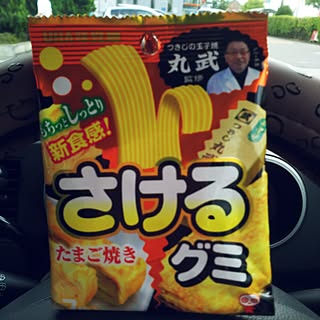 バス/トイレ/インテリアではなくてスミマセン/車中/さけるグミ/ばす、トイレではないですのインテリア実例 - 2016-07-28 16:54:18