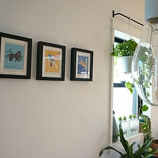 壁/天井/アート/海外インテリアに憧れる/IKEA/まっしろな壁...などのインテリア実例 - 2017-01-27 17:48:42