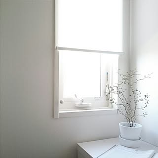 机/植物/シンプルライフ/シンプルインテリア/植物のある暮らし...などのインテリア実例 - 2015-11-17 17:03:51