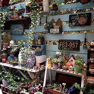 壁/天井/アイビー/NO GREEN NO LIFE/植物のある暮らし/カフェ風〜♡...などのインテリア実例 - 2016-11-27 10:22:43