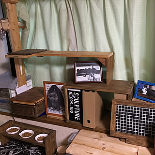 窓際の棚のインテリア実例 Roomclip ルームクリップ