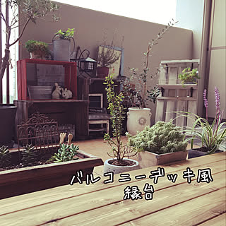 リビング/多肉植物/バルコニー改装計画/バルコニーデッキdiy/バルコニーガーデン...などのインテリア実例 - 2018-09-10 19:50:27