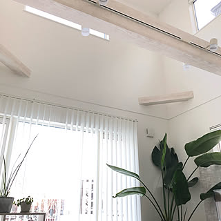 吹き抜けリビング 電動ロールスクリーンのインテリア実例 Roomclip ルームクリップ 吹き抜けリビング 電動ロールスクリーンのインテリア実例 Roomclip ルームクリップ