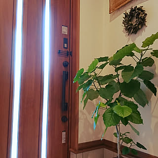 玄関/入り口/平屋暮らし/日本家屋/平屋建て/無言のフォローごめんなさい...などのインテリア実例 - 2017-10-05 15:02:07