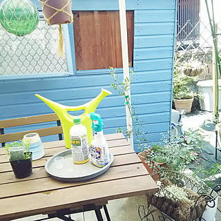 玄関/入り口/100均/ダイソー/漂白剤スプレー空き容器/除草剤...などのインテリア実例 - 2018-06-03 11:42:49