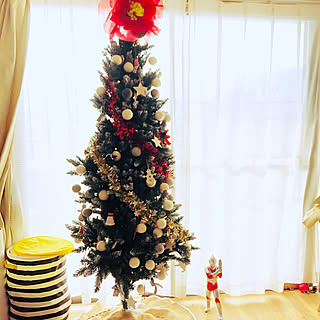 クリスマス/2019年 クリスマス/クリスマスツリー/子供のいる暮らし/いいねと、フォローの押し逃げすみません!...などのインテリア実例 - 2019-12-16 10:46:00