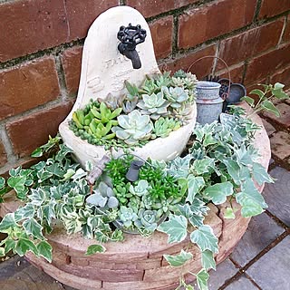 ヘデラのインテリア実例 Roomclip ルームクリップ