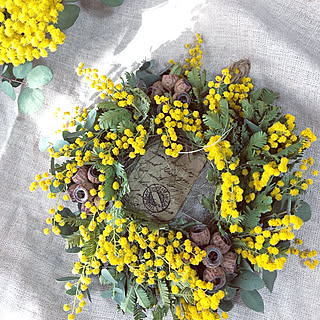 セリア ミモザのリースの商品を使ったおしゃれなインテリア実例 Roomclip ルームクリップ