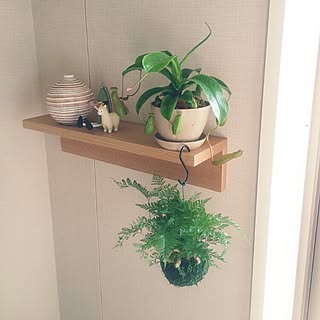ダバリアラビットフットのインテリア実例 Roomclip ルームクリップ
