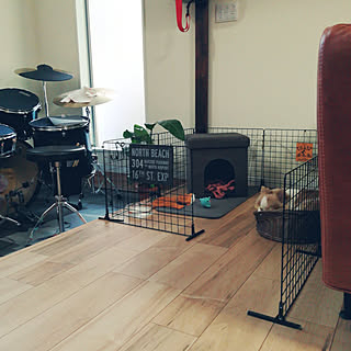 リビング 犬の部屋のインテリア実例 Roomclip ルームクリップ リビング 犬の部屋のインテリア実例 Roomclip ルームクリップ