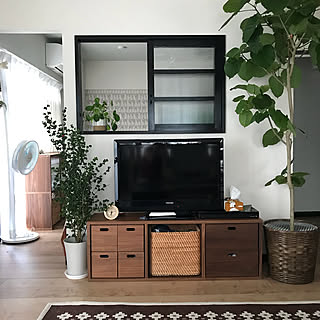 猫の壁紙/スタッキングシェルフ/アクセントクロス/植物のある暮らし/猫...などのインテリア実例 - 2018-08-29 06:33:12