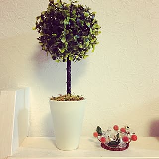 棚/natural kitchen/3COINS/雑貨/ナチュラルキッチンのインテリア実例 - 2013-01-04 19:02:36