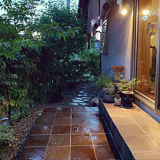 鉢植え アオダモのインテリア実例 Roomclip ルームクリップ