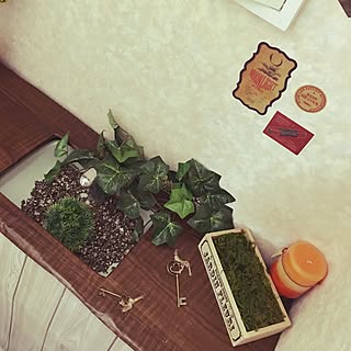 バス/トイレ/トイレタンク/フェイクグリーン/トイレタンクのディスプレイ/カフェ風...などのインテリア実例 - 2015-10-18 08:11:12