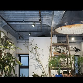 我が家ではありません/中目黒/CONDUIT/SHOPのインテリア実例 - 2015-05-21 16:19:38
