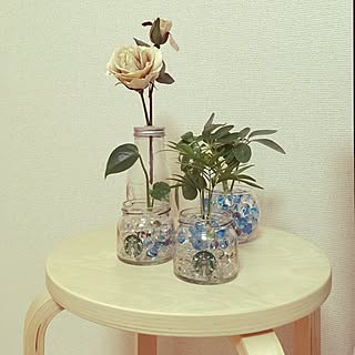 観葉植物 ジュエルポリマーのインテリア実例 Roomclip ルームクリップ